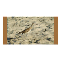 Sand Piper on Bucerias Beach, Mexico Personalized Photo Card