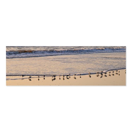 Sand Pipers nibbling breakfast in the waves Business Card Templates (front side)