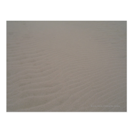 Sand Ripples Postcard