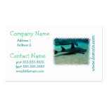 Sand Shark Business Card