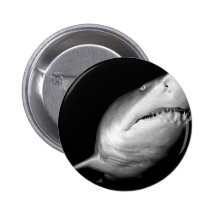 Sand Tiger Shark Pin