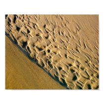 Sand Tracks in Costa Rica posters by dawntheartist Sand Tracks in Costa Rica posters