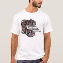Sandals t-shirts