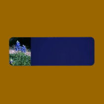 Sandbar Bluebonnets labels
