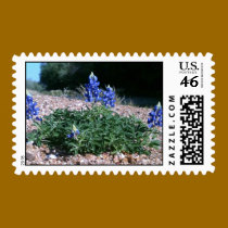 Sandbar Bluebonnets Stamp stamps