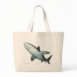 Sandbar Shark