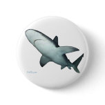 Sandbar Shark