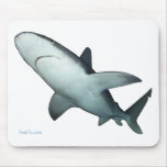Sandbar Shark