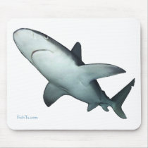 Sandbar Shark mousepads