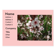 Sandcherry Abstract Business Card.