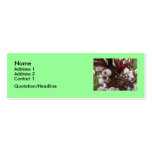 Sandcherry Abstract Business Card