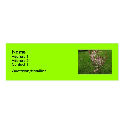 Sandcherry Tree Business Card