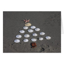 Sanddollar Tree Greeting Card