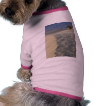 Sanddunes Deserts pet clothing