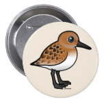 Sanderling Pins