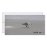 Sanderling, Thank you ! Customized Photo Card