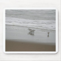 Sanderlings at Horsfall Beach, Oregon Mouse Pads