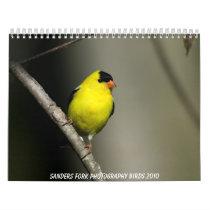 Sanders Fork Photography Birds 2010 calendars