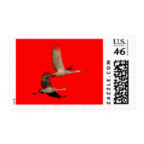 Sandhill Couple in Flight Stamp