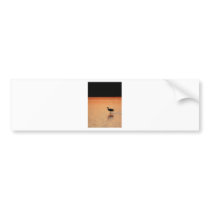 Sandhill Crane, Bosque del Apache Bumper Stickers