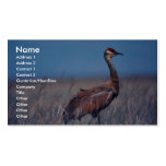 Sandhill Crane Business Cards