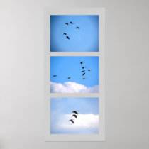 Sandhill Crane Flight Collection Poster posters