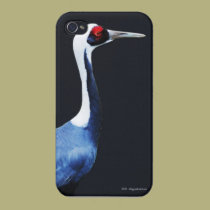 Sandhill Crane iphone cases