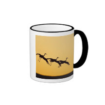 Sandhill Crane landing at sunset Mug