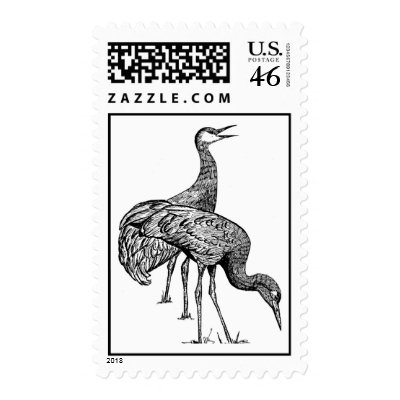 Sandhill Crane   Stamp by moxieann