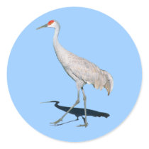 Sandhill Crane Stickers