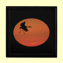 sandhill crane walking on air gift boxes
