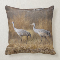 Sandhill Cranes American MoJo Pillow pillows