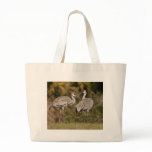 Sandhill Cranes bags