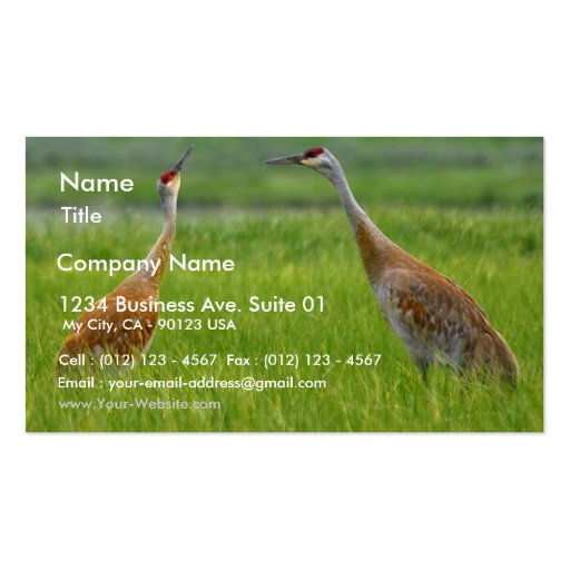 Sandhill Cranes Business Card (front side)