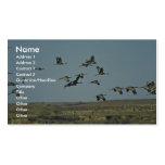 Sandhill Cranes Business Card Templates