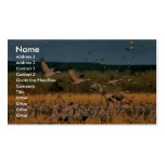 Sandhill Cranes Business Cards