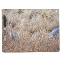 Sandhill Cranes Dry Erase Board dry erase boards
