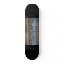 Sandhill Cranes in Field Skateboard
