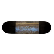 Sandhill Cranes in Field Skateboard