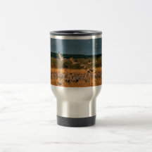 Sandhill Cranes Mugs