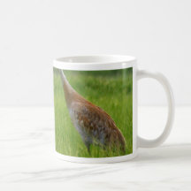 Sandhill Cranes Mugs