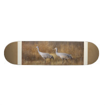 Sandhill Cranes Photography Skateboard skateboards