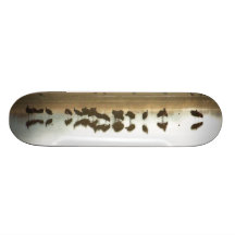 Sandhill Cranes Sleeping Skateboard