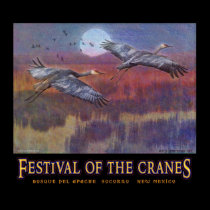 sandhill festival for november LARGE posters
