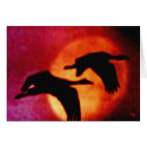 Sandhill Sundown Cards