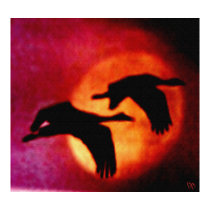 Sandhill Sundown Posters And Prints