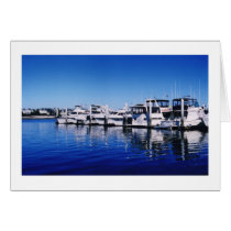 SANDIEGOBAY1 cards