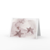 sandnshells cards