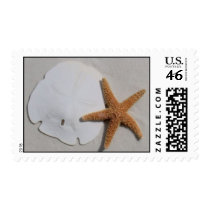 Sandollar and Starfish postage