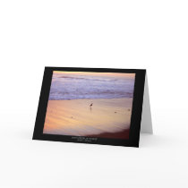 Sandpiper at Sunset: Ventura Beach cards by Organic_Pixels Sandpiper at Sunset: Ventura Beach cards